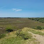 10 Person In Romo Toftum (Syddanmark)