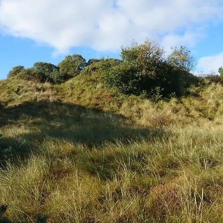 度假居 Luxury Retreat With Pool - By Traum Toftum (Syddanmark)