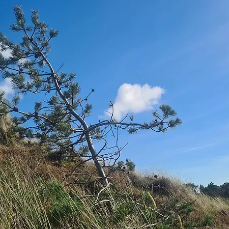 Luxury Retreat With Pool - By Traum 度假居